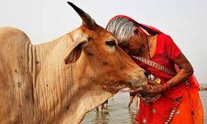 Muslim man forces tribals to eat beef by threatening them with sharp weapons. Attempts to convert them to Islam