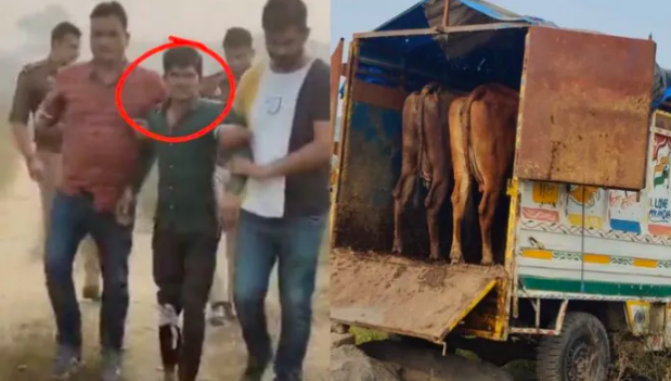 Five cow smugglers arrested in Muzaffarnagar after shootout 