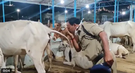 Hindus mocked by a Christian American social media user following H1B visa controversy, makes Hinduphobic ‘cow urine’ jibe
