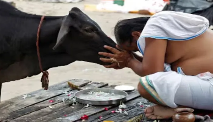 Large quantities of Cow meat and severed legs discovered at a Muslim man's residence