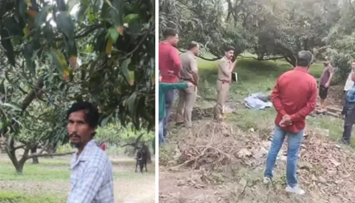 Muslim man arrested for sexually assaulting calf in Uttarakhand