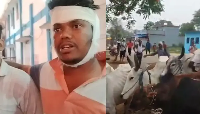Members of Hindu organisations attacked while trying to stop cow smuggling in Madhya Pradesh
