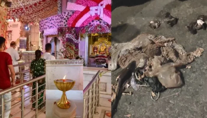 Hindu devotees targeted during Navratri: Muslim mob hurl pieces of meat at religious procession