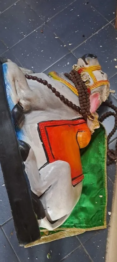 Case Image