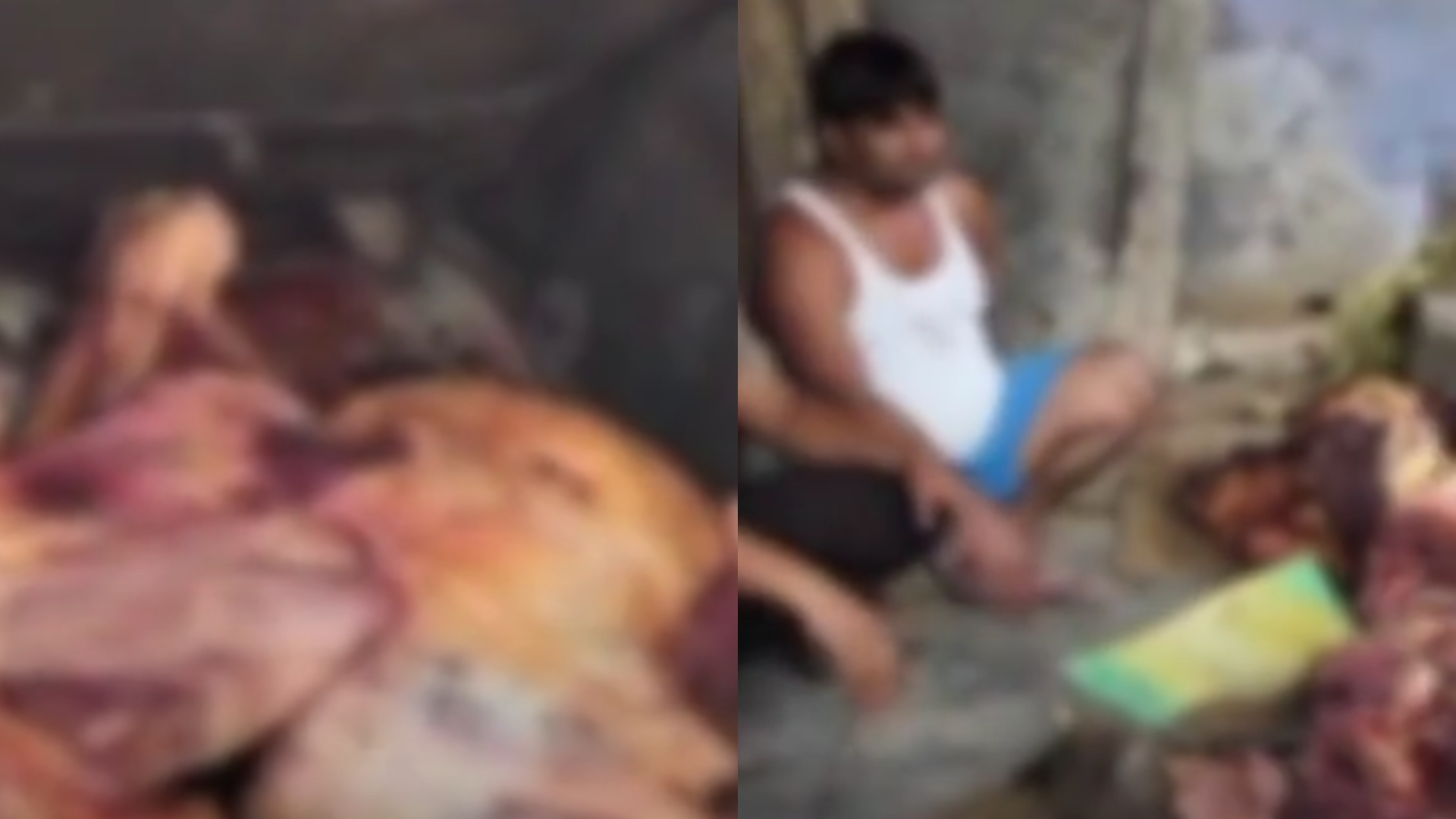 Cow slaughter by Muslims in Haryana; 210 kg of cow meat seized in police raid