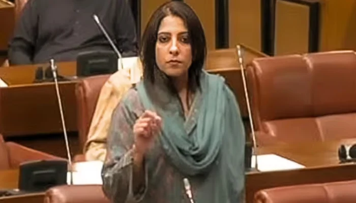 Hindu religious sentiments targeted: Pakistani Muslim senator threatens to built another Babri Masjid in Ayodhya following Pahalgam terror attack