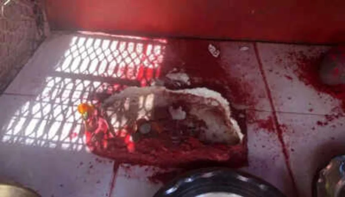 Hanuman idol stolen from Fiji temple amid rising attacks on Hindu sacred sites