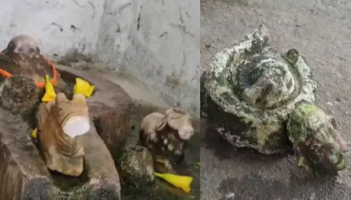 Ancient Shiva temple attacked in Chhattisgarh: idols desecrated and remains thrown into pond