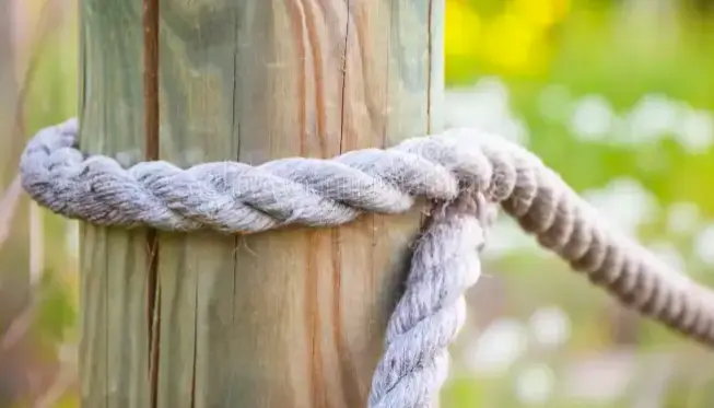 Hindu woman tied to a pole and assaulted mercilessly after she loses her way in Muslim majority area