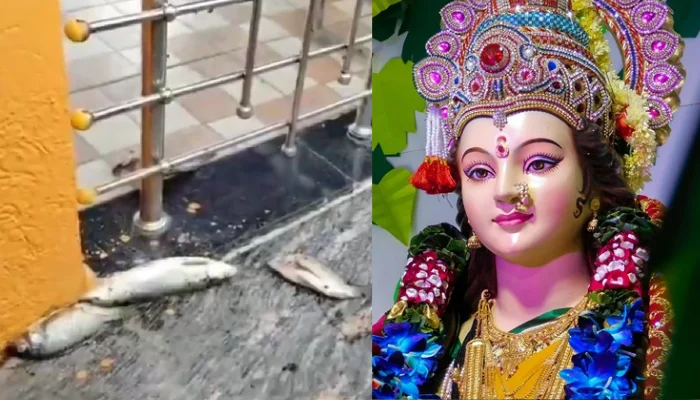 Attack on Hindu sentiments: Miscreants defile sacred Hindu temple amidst Navratri celebrations in Madhya Pradesh
