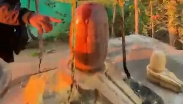 Sacred Hindu religious symbol desecrated with non-vegetarian food by miscreant in Madhya Pradesh