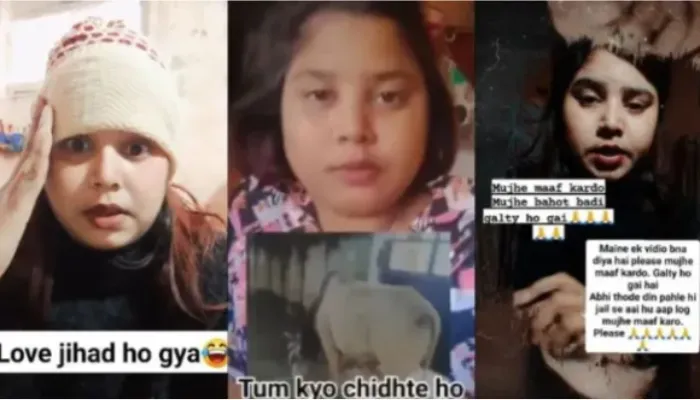 Hindu girls ridiculed, love jihad dismissed in abusive videos posted by Muslim woman under fake Hindu identity