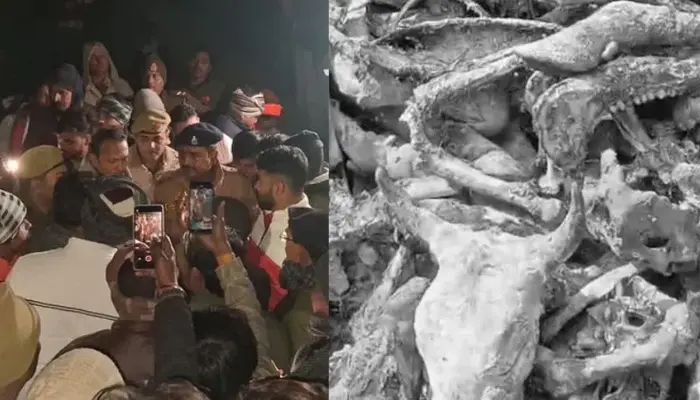 Attack on Hindu sentiments: Muslim men dump cow remains near Hindu temple in Kanpur