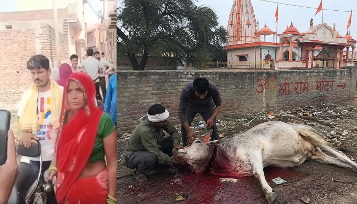 Hindu woman’s cow stolen and slaughtered near a Hindu temple ahead of Eid celebrations in Agra, Uttar Pradesh