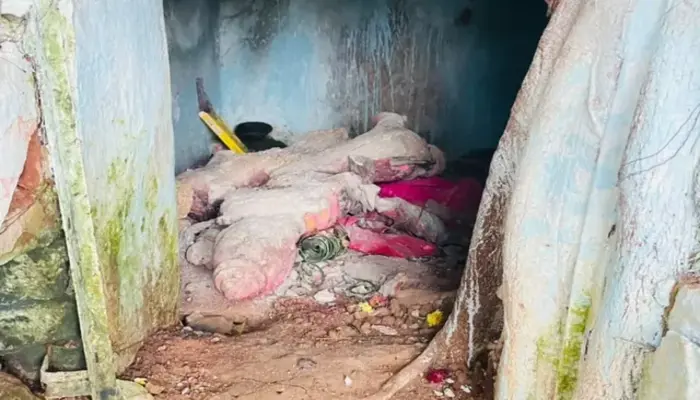 Hindu temple targeted, idol of Goddess Durga desecrated in Siddipet, Telangana, days before Navratri festival